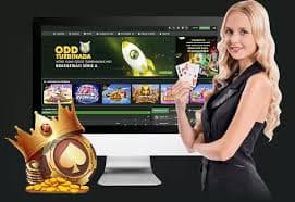 Dasbor statistik dan aktivitas pemain dengan grafik real-time